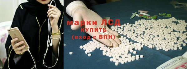 СК Горнозаводск