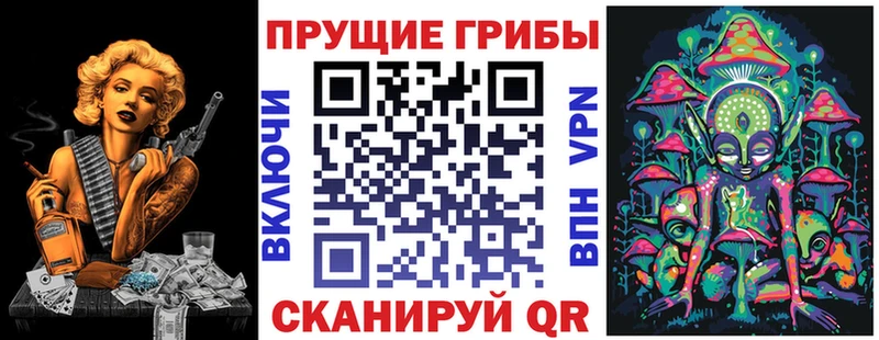 наркотики Пикалёво Галлюциногенные грибы Cubensis